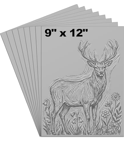 Amazon.com: Richeson Printmaking Paper, 88# 12x18 inches, 50